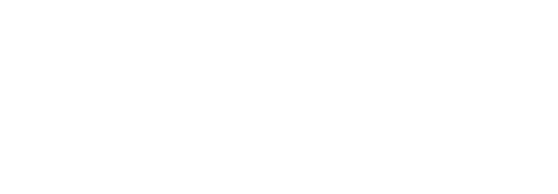 Envision Professional